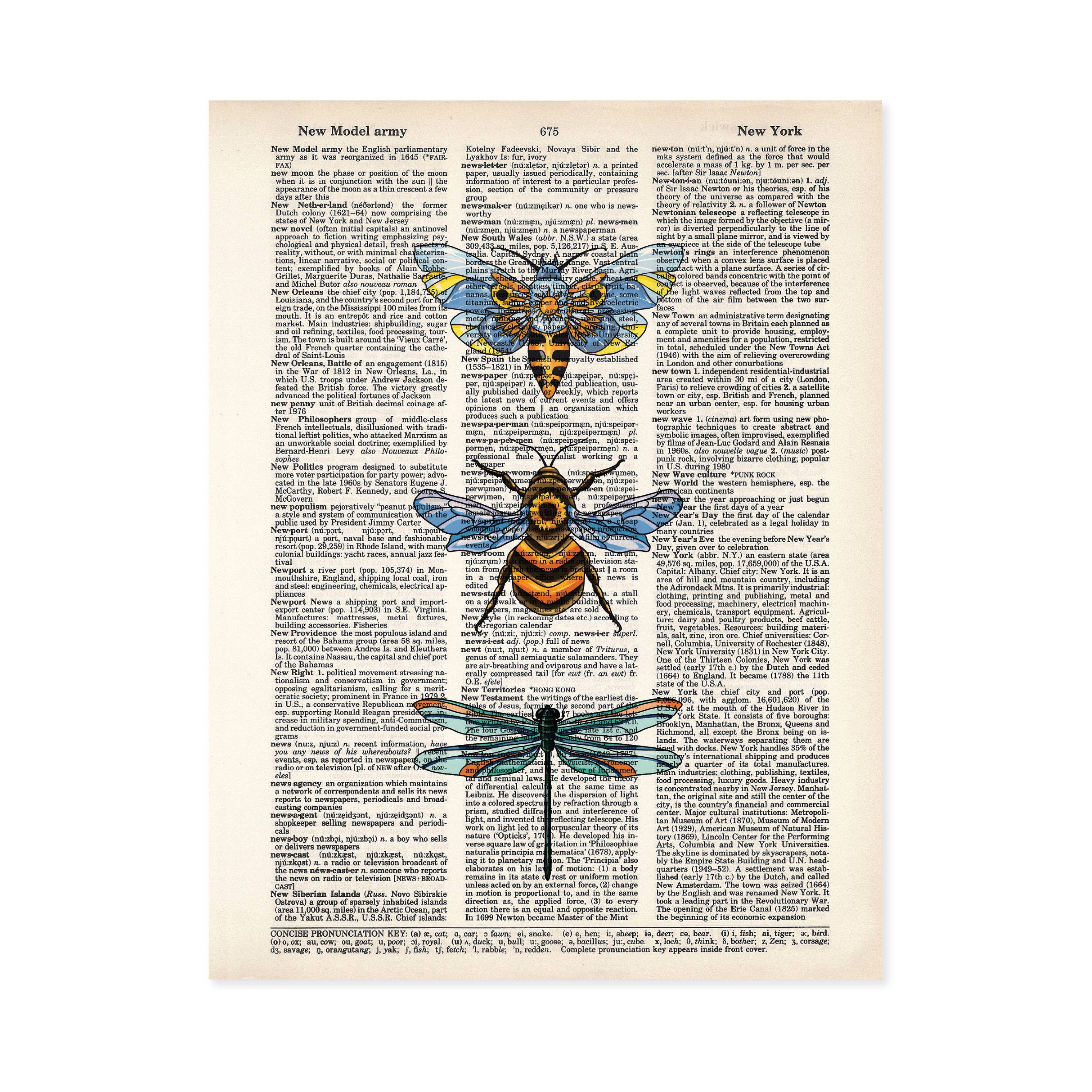A3 Bee Print Dictionary Wall Art Picture Anniversary Gift Idea Love Quote Framed A3 Bee Print Dictionary Wall Art Picture Anniversary Gift Idea Love Quote Framed